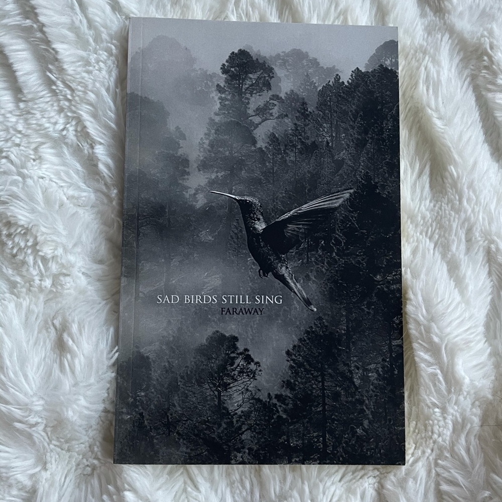 Sad birds still sing by Faraway